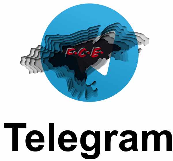 20210209 FCE Telegram